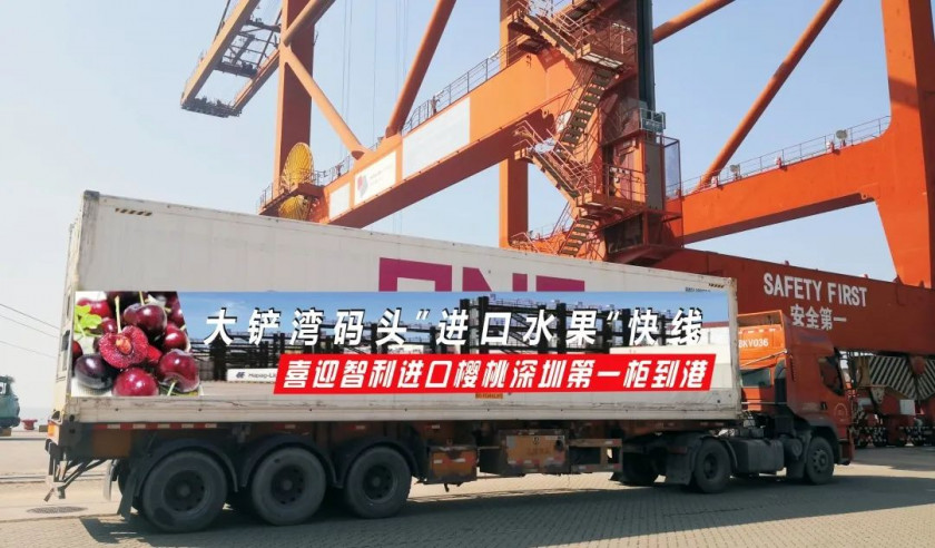 大铲湾码头迎来深圳进口智利樱桃首柜